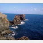 Wild Photos | The Blissful Island of Ustica 
